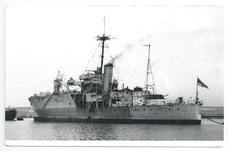 Albatross front