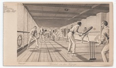 Cricket on the Voyage front