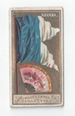 Havana front