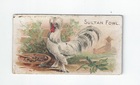 Sultan Fowl front