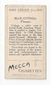 Blue Cotinga back