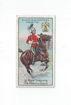 1st Royal Dragoons front