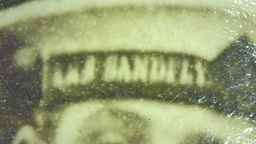 Sandfly close-up