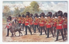 Irish Guards front