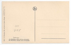 Iphigenia & Intrepid back