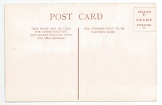 Minerva & Martin back