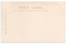 Lion & Implacable back